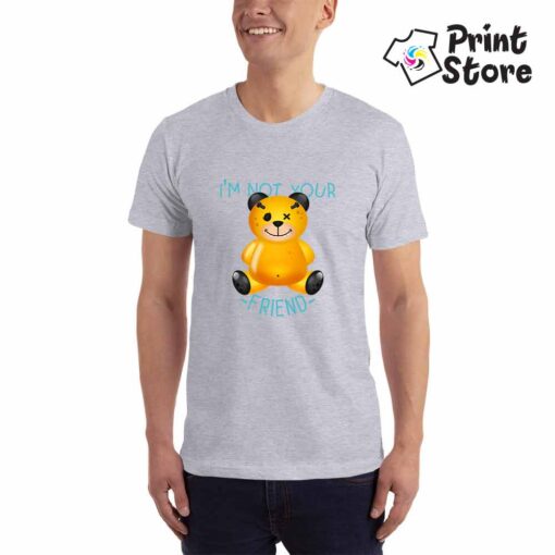 Muška siva majica - I'm not your friend - Print Store shop